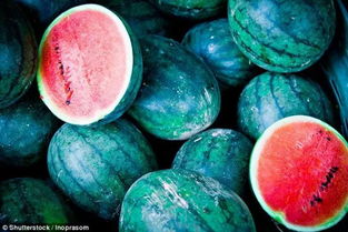 澳洲产的西瓜被检测出病毒,新西兰已宣布暂停进口