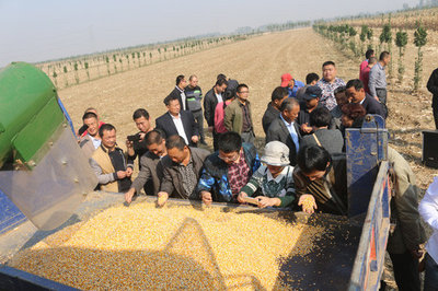 山东宁联公司举办“一机多用”玉米籽粒收获现场演示会