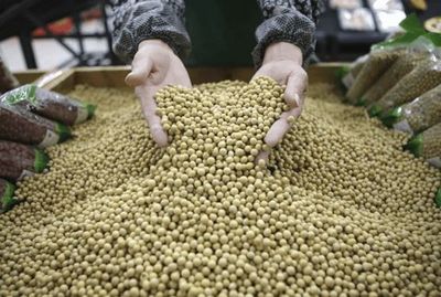 全球最大农产品巨头将在上海科创板上市,总部位于瑞士
